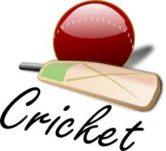 Captain Cricket Quiz logo